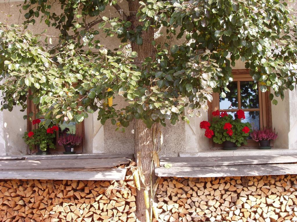Mansarda Dolomiti Apartment ราซุน ดิ โซปรา ภายนอก รูปภาพ